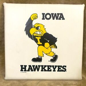 Vintage Iowa Hawkeyes Football 15” X 15” Stadium Seat Cushion